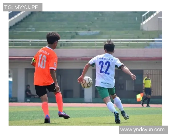 南京足球队荣登全国足球技术排行榜第五名引发热议