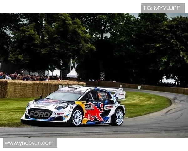 广州网球队耐力训练的挑战与突破分析