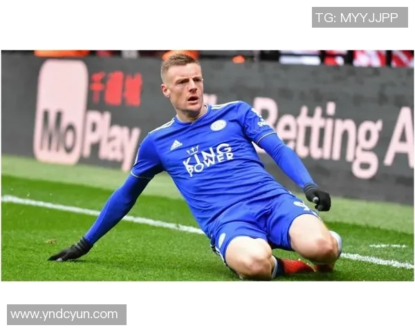 波兰足球明星的传奇故事与成就盘点