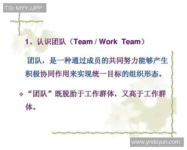 争足球过程中的团队协作与个人技术的完美结合探讨