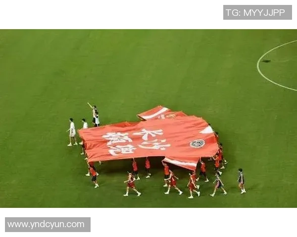 2017中韩足球赛精彩回顾与分析两国足球文化的碰撞与发展