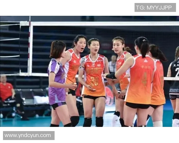 南京排球队灵活性排名第一最新排球灵活性TOP10榜单揭晓