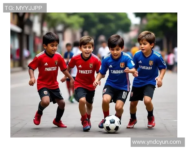 探索足球赛区的魅力与挑战：从赛事组织到球迷文化的深度剖析