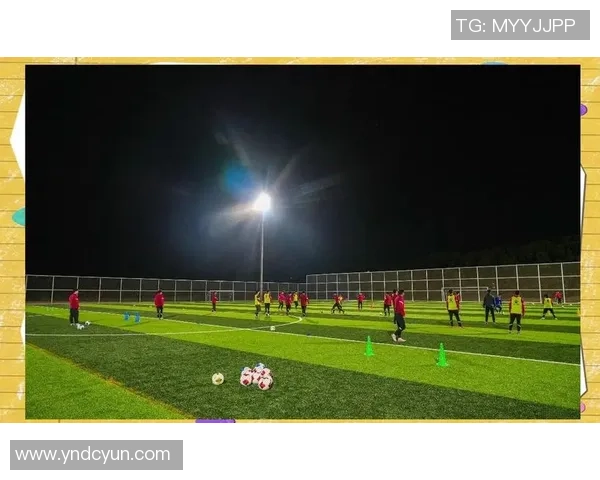 职业足球学校助力青少年成长打造未来足球明星的摇篮