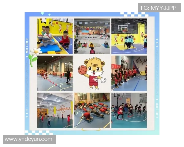 篮球新手必看：从基础到进阶的全面意识提升指南