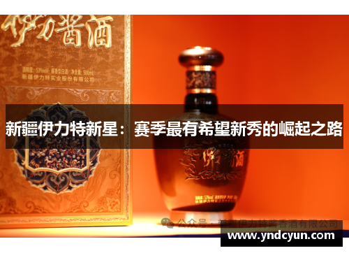 新疆伊力特新星：赛季最有希望新秀的崛起之路