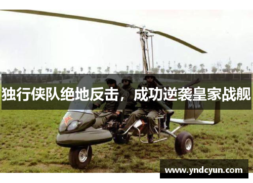 独行侠队绝地反击，成功逆袭皇家战舰
