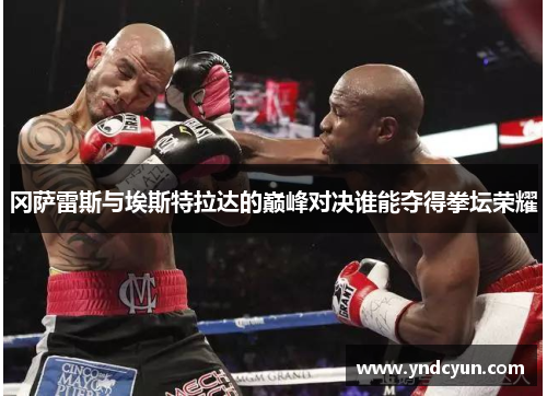冈萨雷斯与埃斯特拉达的巅峰对决谁能夺得拳坛荣耀