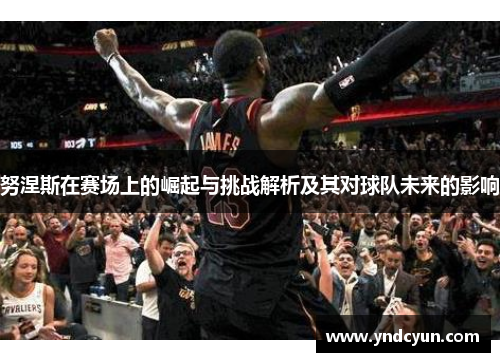 努涅斯在赛场上的崛起与挑战解析及其对球队未来的影响