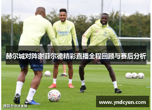 赫尔城对阵谢菲尔德精彩直播全程回顾与赛后分析