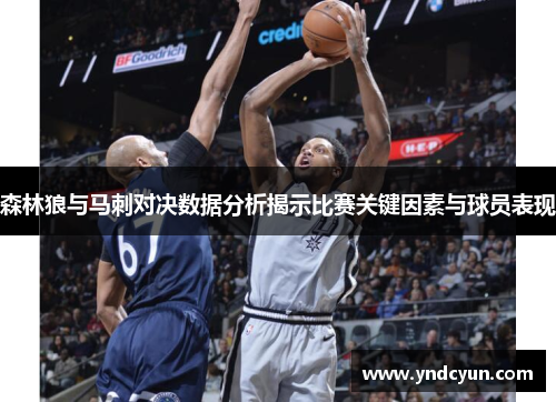 森林狼与马刺对决数据分析揭示比赛关键因素与球员表现 森林狼与马刺对决数据分析揭示比赛关键因素与球员表现