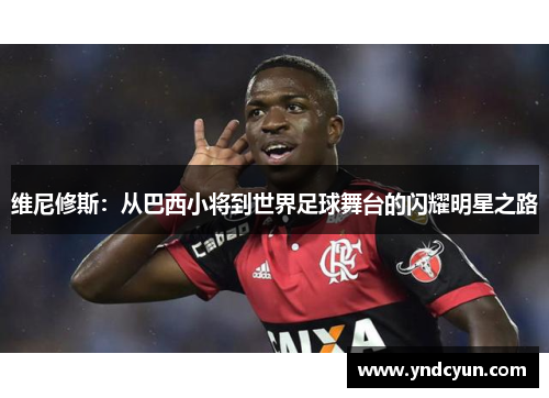 维尼修斯：从巴西小将到世界足球舞台的闪耀明星之路